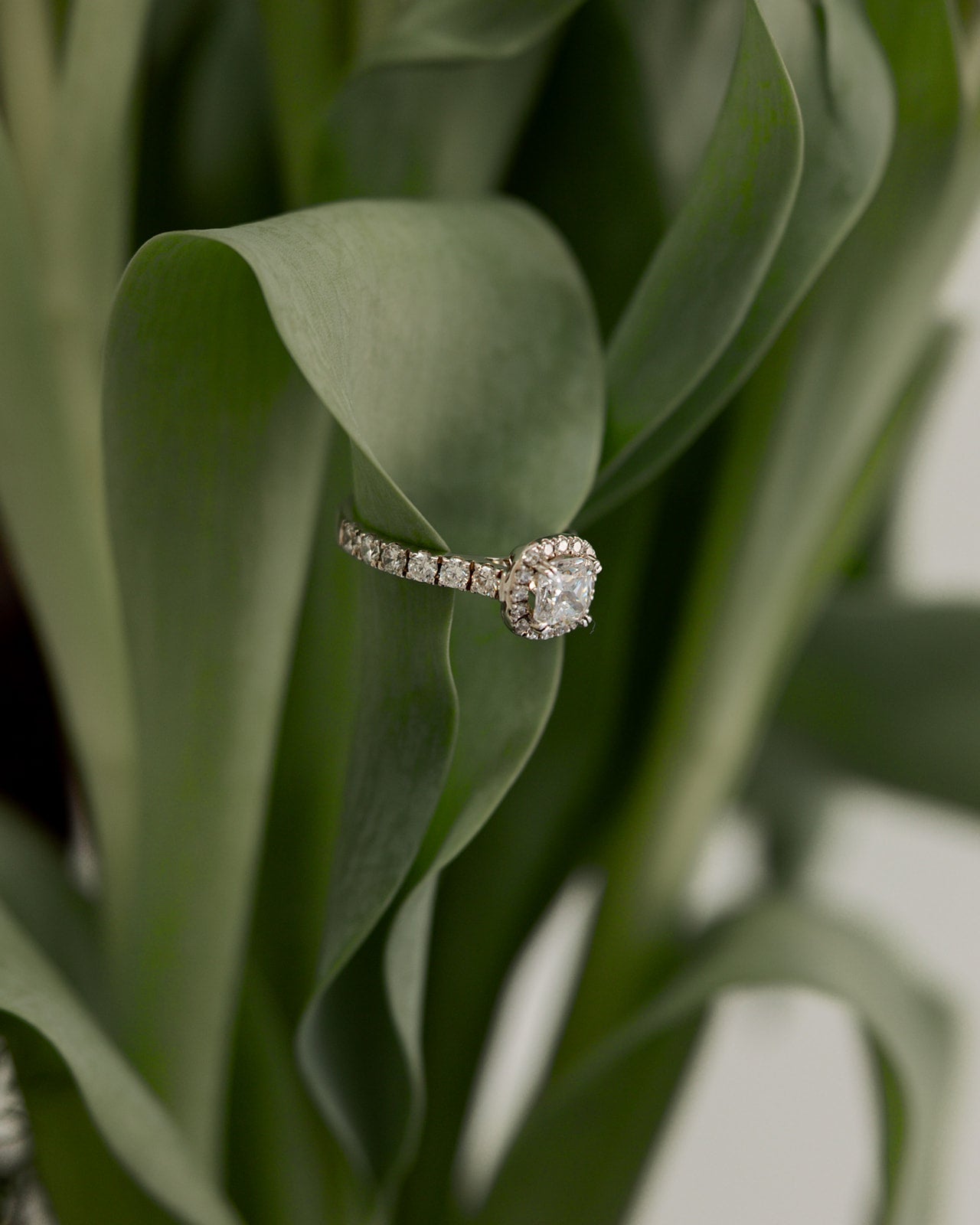 Gold Ring Green Flower