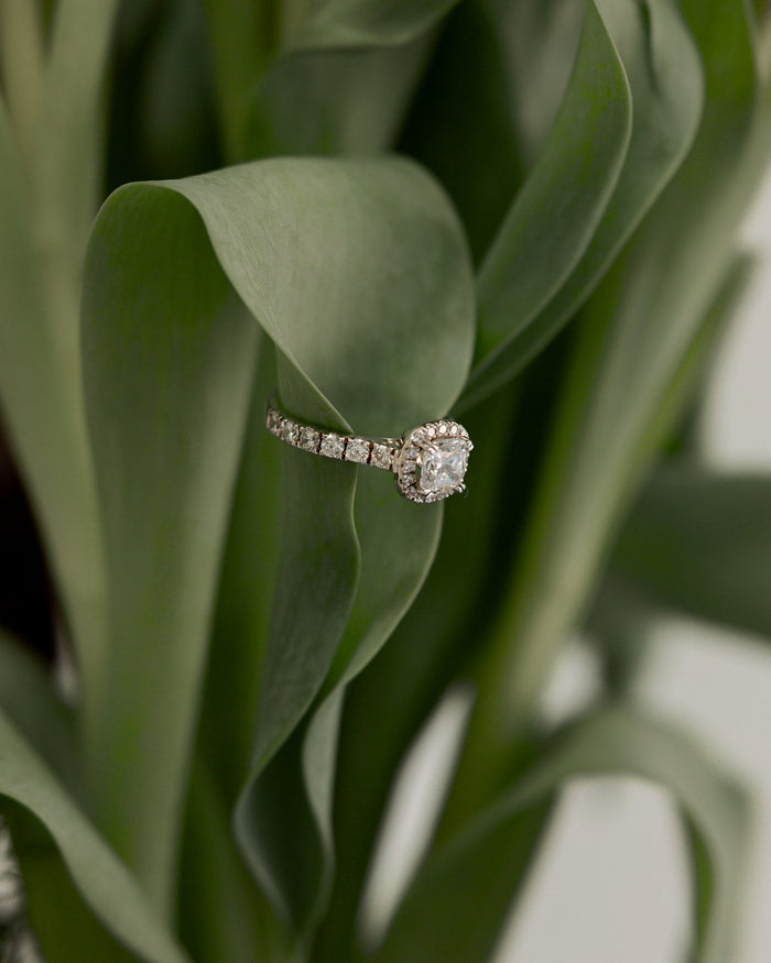 Engagement Rings