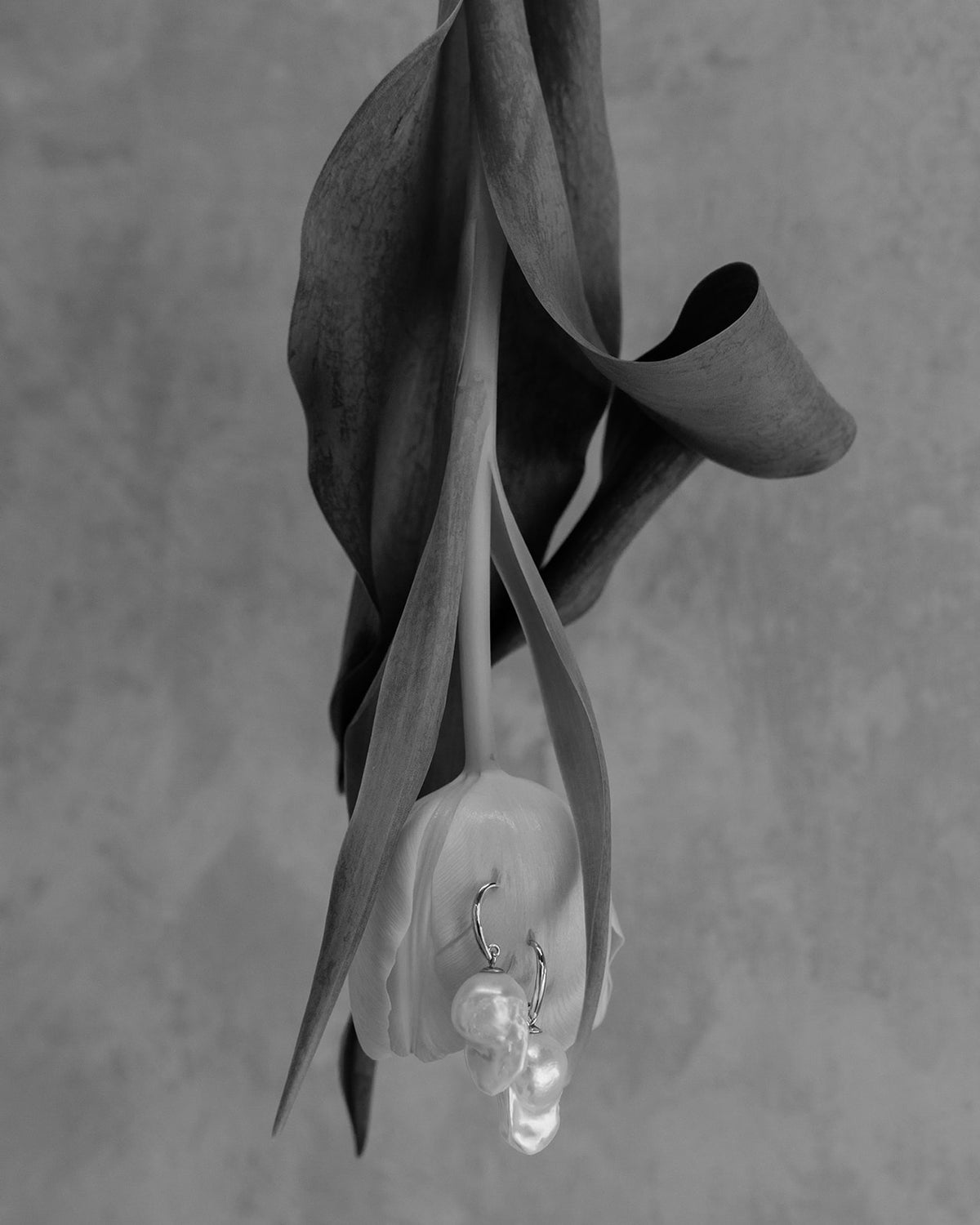 Lumi Baroque Pearl Drop Hook Earrings